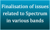 Finalisation of issues related to Spectrum in various bands