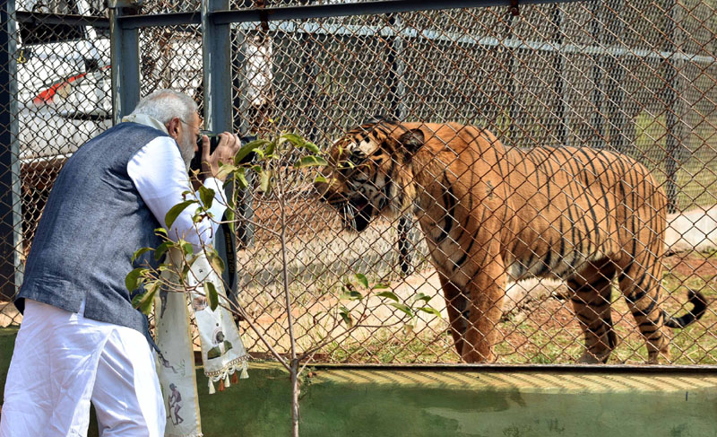 PM visits Chhattisgarh, launches Jungle Safari, unveils Statue of Pt. Deendayal Upadhyay, inaugurates Rajyotsav