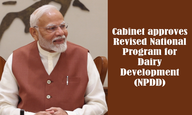 Cabinet approves Revised National Program for Dairy Development (NPDD)