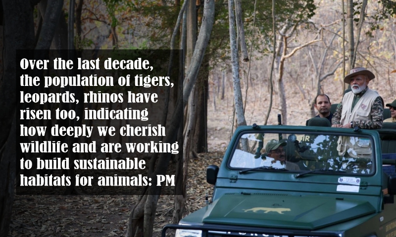 Over the last decade, the population of tigers, leopards, rhinos have risen too, indicating how deeply we cherish wildlife and are working to build sustainable habitats for animals: PM